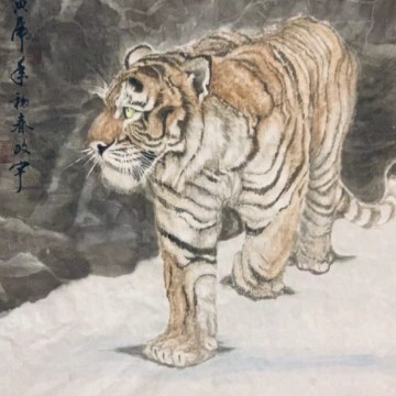 乐观的淡如水