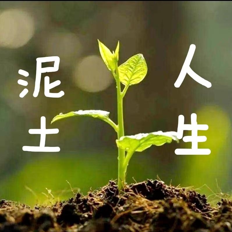 大衣哥文化