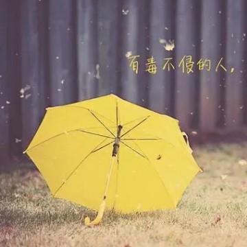 爱偷书的孔乙己