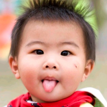 丁爸毛毛虫