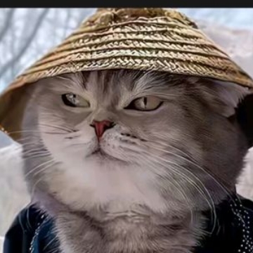 你看那个吊毛头像