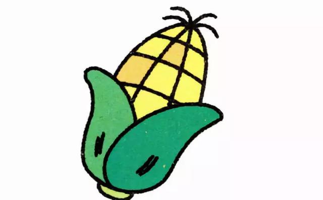 玉米简笔画图片，几株玉米的简笔画怎么画（可爱的玉米简笔画画法图解）