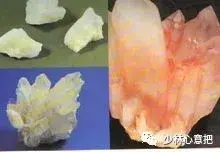 白牛胆的功效与作用，白牛胆的功效与作用禁忌（中药图片大全与功效）