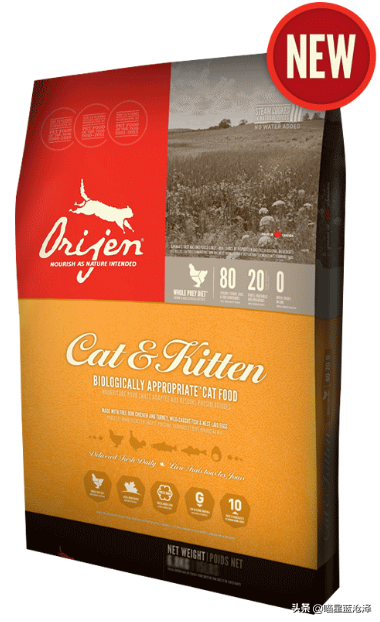 凌采露华官网，关于幼猫你不知道的第4件事——幼猫该吃什么东西