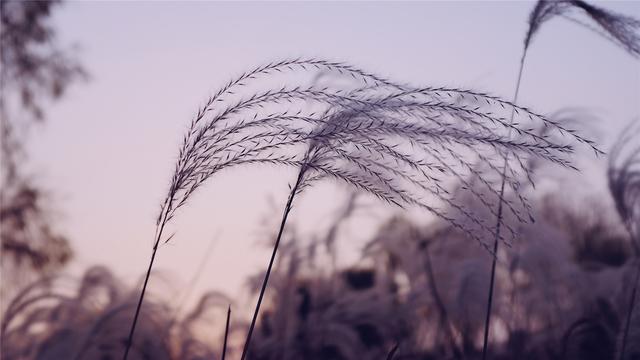 射手座反感你的表现，射手男厌恶你的表现（深入分析——射手座会因为哪些细节不喜欢你）