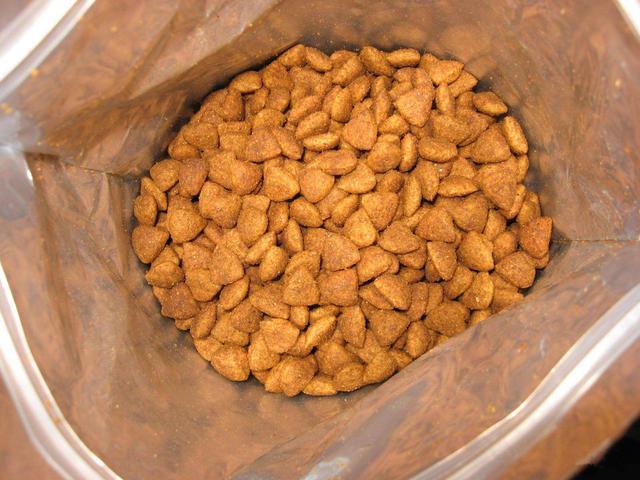 狗狗能吃盐吗，一天最多能吃多少盐，狗狗能吃盐吗（狗狗并非不能摄入食盐）