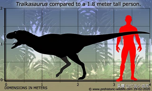 re网名的含义，Re微信昵称（2020古生物学家到底命名了多少种恐龙）