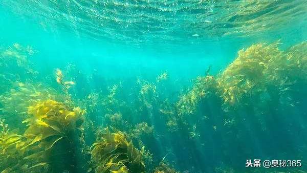 200度是多少华氏度，摄氏度200度是多少华氏度（科学家的末日预言）