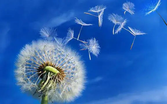 m2是什么意思，m3是什么意思（高大上的经济学名词M2是什么意思）