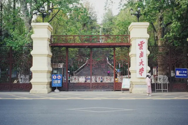 昆明周边好玩的地方，昆明周边好玩的地方有哪些（来到四季如春的昆明）