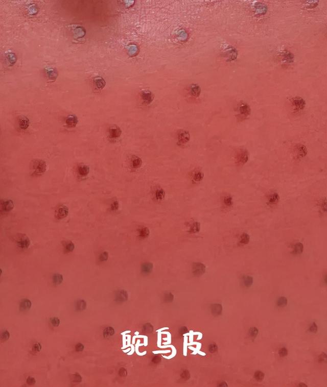 hermes是什么牌子，hermes是什么牌子的手表（秒收藏丨1分钟图解爱马仕包包九大经典系列）