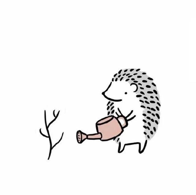 美好阳光且干净的女生头像  星空迷上了山野微信，美好阳光且干净的女生头像  星空迷上了山野，有雾有灯也有归人。（有哪些好看非人物的头像）