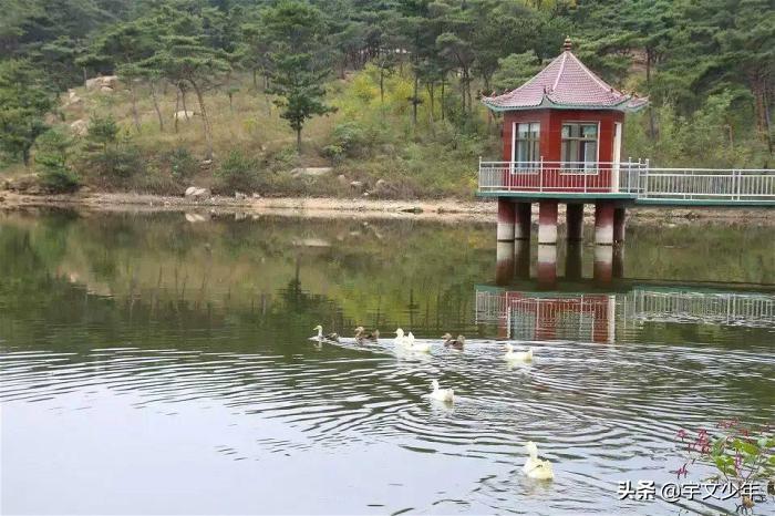莱芜属于哪个市(济南市为什么没有莱芜区)