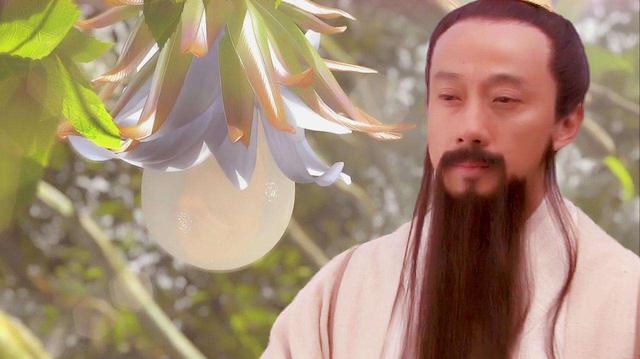 西游记五庄观故事梗概，西游记：五庄观有五行