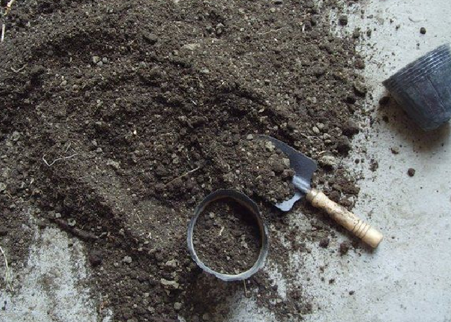 栀子花的养殖方法，栀子花喜欢的3种肥（栀子花能用水养吗）