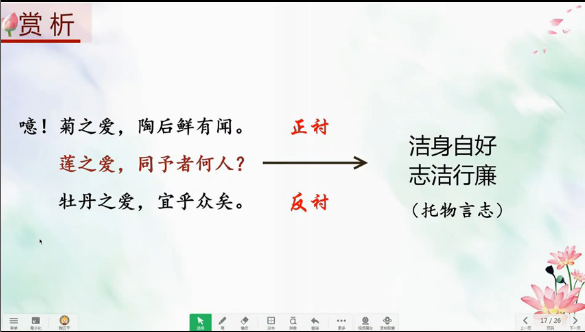 爱莲说的中心句，爱莲说的中心句是啥（七下《爱莲说》重点复习基础知识）
