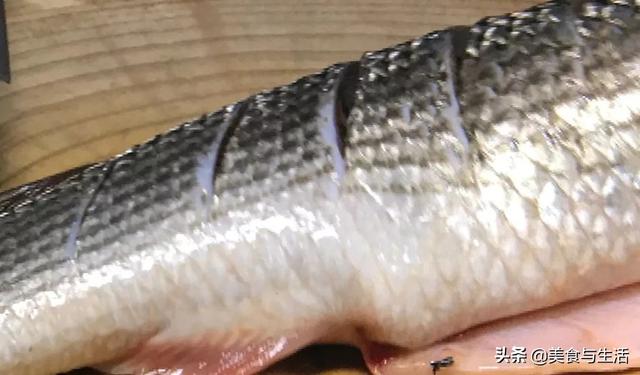 梭鱼是海鱼还是淡水鱼，就吃家常烧开凌梭鱼