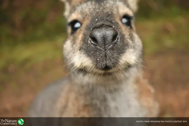 怦然心动美图，怦然心动最新图片（美图 ， 这一瞬间的怦然心动）