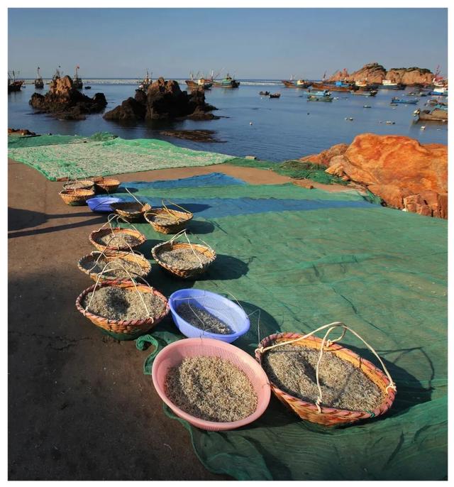 海蜒干怎么做好吃法,海蜒干可以直接吃吗(小小海蜒鲜的让你眉毛掉下来) 海蜒干怎么做好吃法,海蜒干可以直接吃吗(小小海蜒鲜的让你眉毛掉下来)