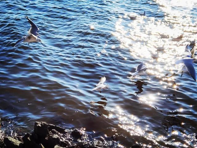 天津海边旅游景点排行榜，天津塘沽旅游景点大全（天津7处小众看海点，景色绝了）