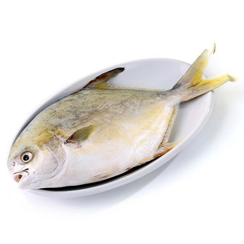 三种家常鲳鱼做法分享：清蒸、红烧、香煎，简单美味又下饭