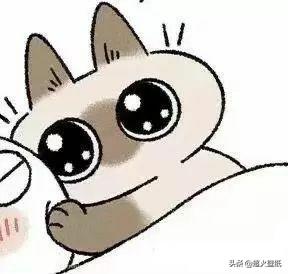 你制杖吗？网名，你制杖吗微信昵称（？哈利波特手游的魔杖是他设计的）