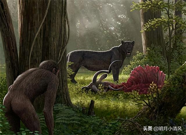 人类曾经的天敌，人类曾经的天敌是什么（有一种动物差点吃光人类祖先）