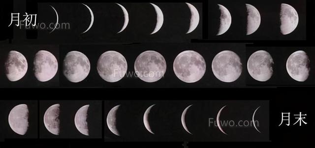 农历干支查询，万年历日干支查询（公历、阴历、农历、太阳历、干支历）