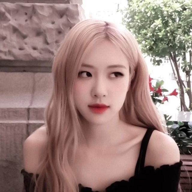 /江樱/ 澳洲野玫瑰朴彩英头像1弹微信，/江樱/ 澳洲野玫瑰朴彩英头像1弹（Rose头像壁纸澳洲野玫瑰）