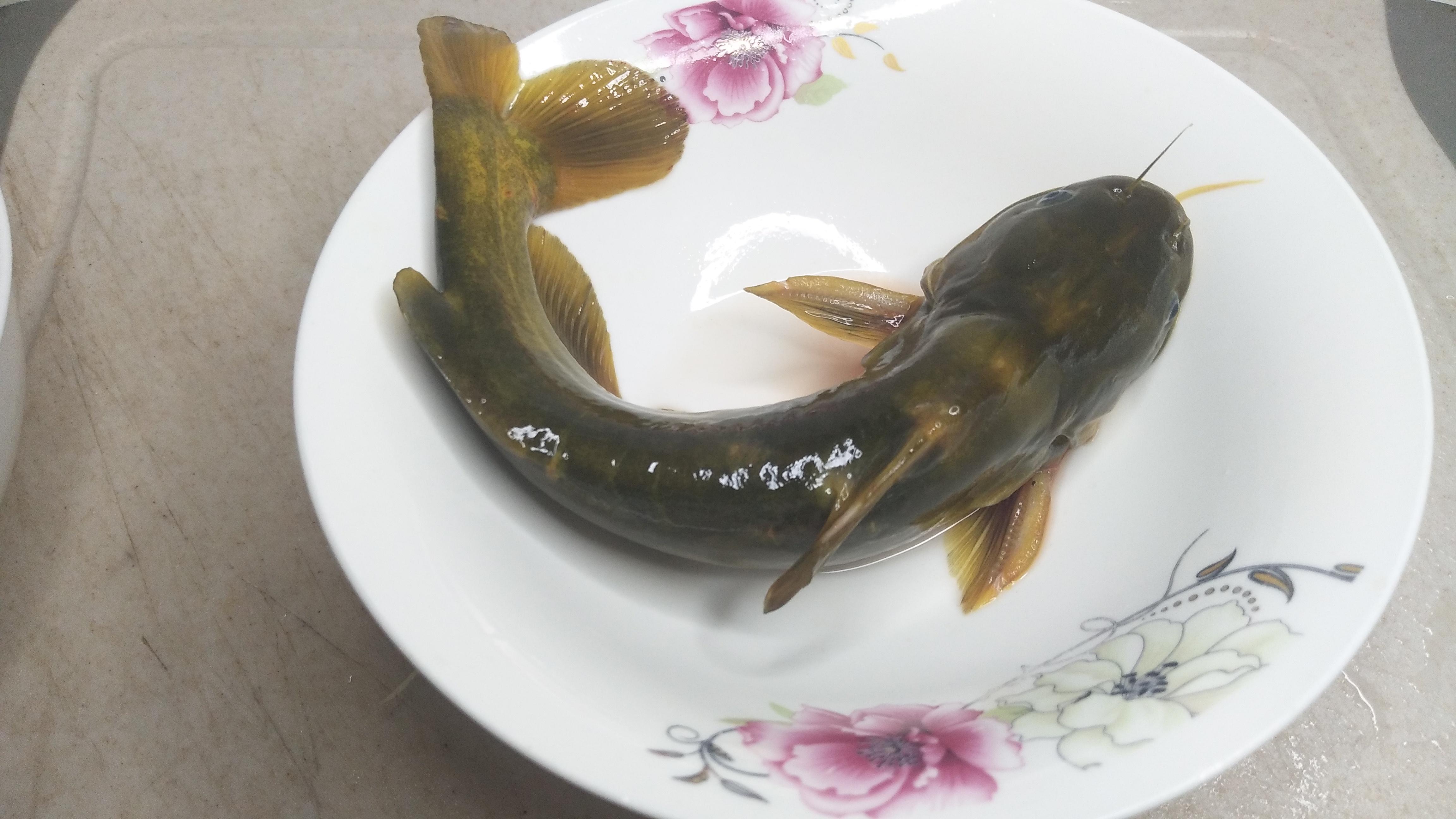 黃顙魚可以燉湯嗎(黃顙魚和它一起燉湯,酸爽開胃,脾胃虛弱的孩子要多