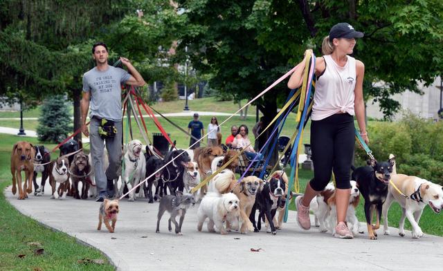 是不是只有同幂数才能相加减，不同幂的加减法怎么算（还能让它们集体看镜头进行拍照）