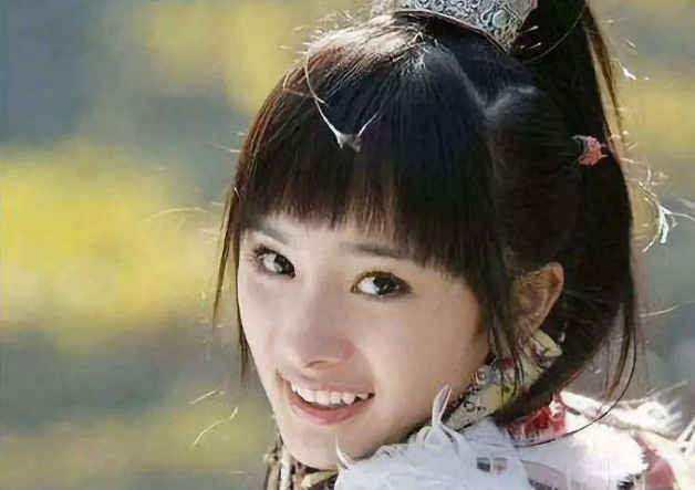杨幂主演过的电视剧，杨幂出演的10部电视剧（杨幂主演过的7部古装剧）