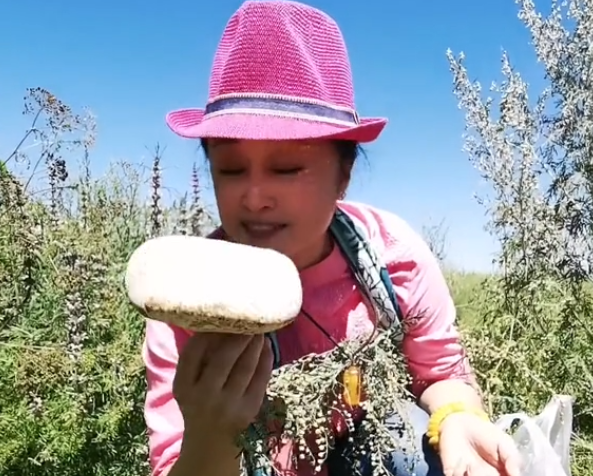 马丽娟 于月仙，马丽娟和于月仙的关系（一生无子弟弟处理后事）