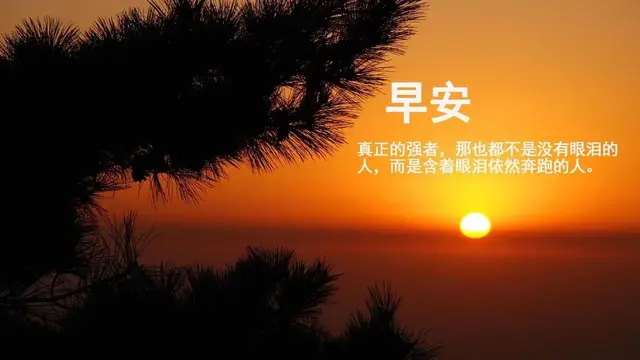 如此甚好是什么意思，生活如此甚好是什么意思（浅浅欢喜，淡淡相交，如此甚好）