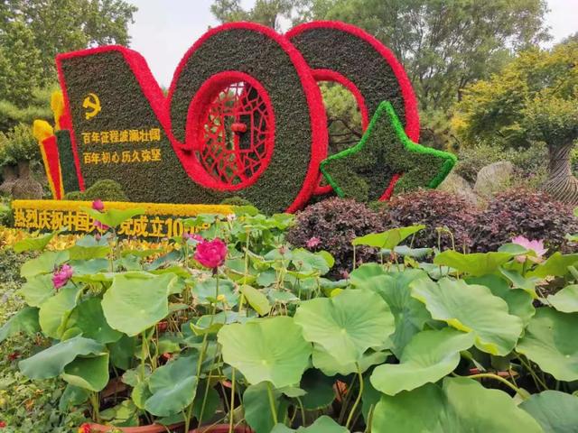 夏雨荷大明湖畔在哪里，大明湖畔的夏雨荷在哪个城市（快来跟“夏雨荷”见个面）