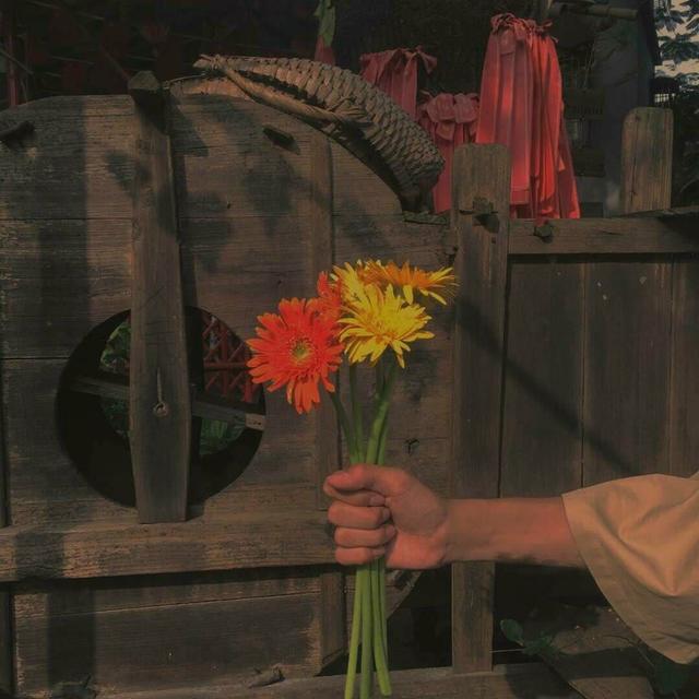 失望，微信头像，失望（今日头像丨每一个失望的人都该有一个新的开始）