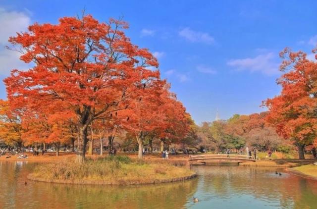 阳坡阴坡怎么判断，怎么看出是阳坡还是阴坡（<我国的光照、阳坡、阴坡>）