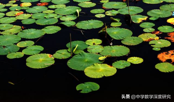 阿门阿前一颗葡萄树，阿门阿前一颗葡萄树是什么歌（哈佛教授：每天进步1%）