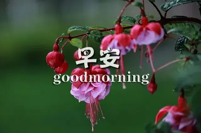 关于问心无愧的语录，问心有愧的句子（努力做好一个问心无愧的自己）