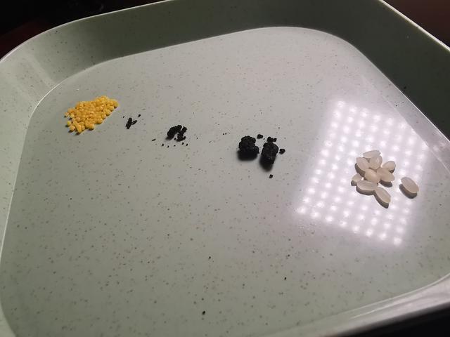 麝香是什么动物身上的哪个部位，正宗麝香多少钱一克（麝香直接闻起来是什么味道）