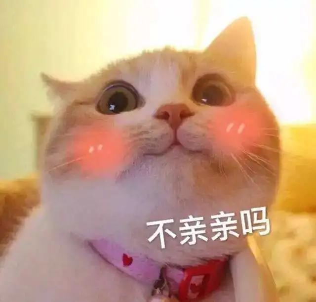 粉笔怎样进入模考，粉笔模考怎么进去（听说这次模考90.5分的是个机器人）