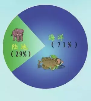 海和洋的区别(什么叫江什么叫河什么叫海)