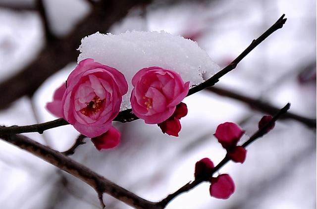 循环渐进的过程的意思，循序渐进的循环（农村俗语“腊月初一晴）