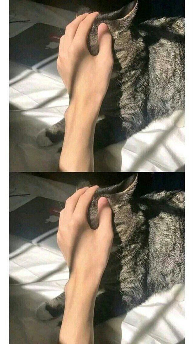 手控男生头像微信，手控男生头像（手控壁纸：手控党的福利来啦）