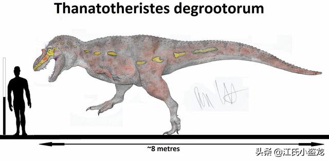 re网名的含义，Re微信昵称（2020古生物学家到底命名了多少种恐龙）
