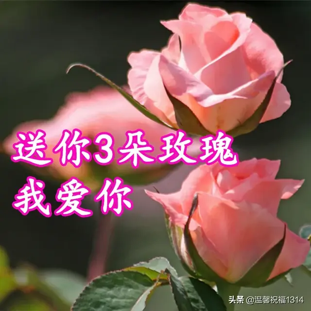 1314祝福语，1314祝福语结婚（3.14白色情人节到了）