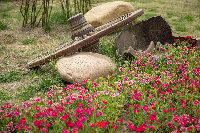 蜀山的具体位置在哪啊，蜀山位于哪里（徜徉在春色染透的田园风光里）