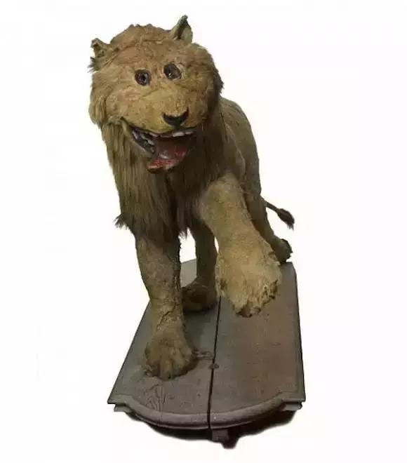 如何制作标本，如何栽种观音竹（那些好看、逼真的标本是如何制作的）