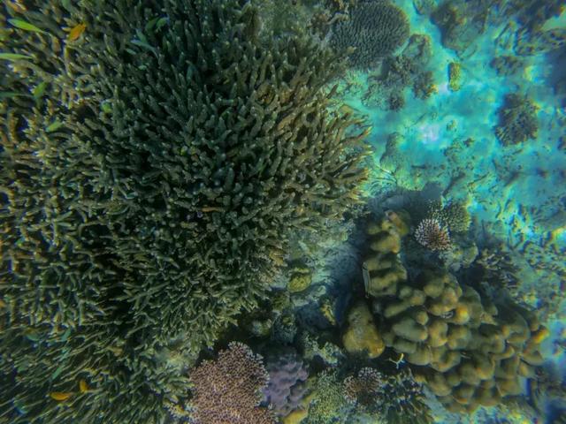 仙本那是哪个国家，仙本那 民族（这里有份攻略请收藏）