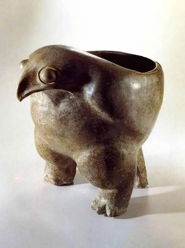 养雪鸮犯法吗，宠物雪貂多少钱一只（猫头鹰的构造原来这么奇葩）